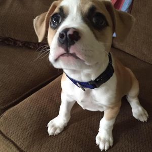 Meet your Posher, Jacquelyn